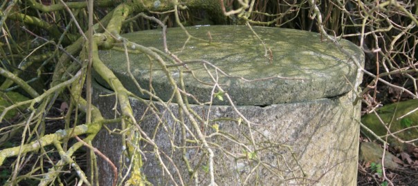 Raleigh Water Well Abandonment